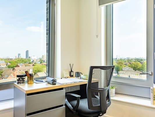 Platinum Skyline Studio room type